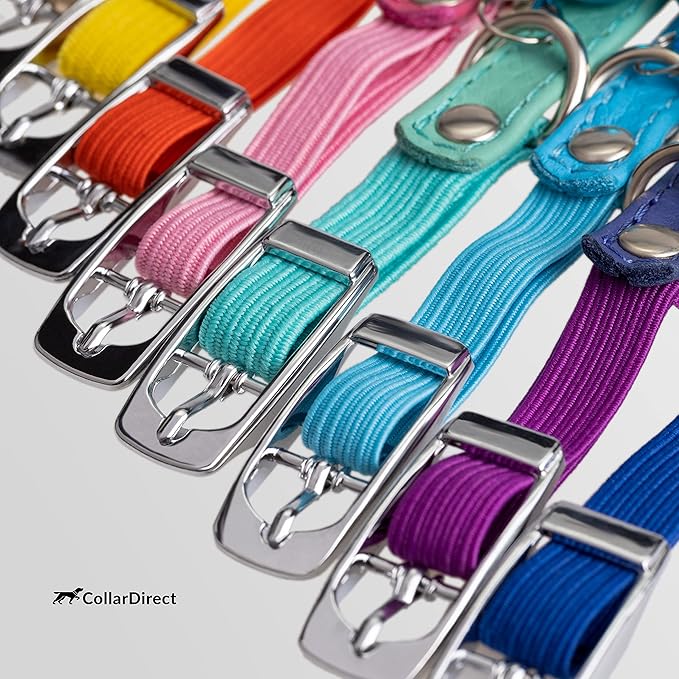 CollarDirect Leather Cat Collar, Kitten Collar with Removable Bell Black Blue Red Orange Lime Green (8-11 Inch, Black)