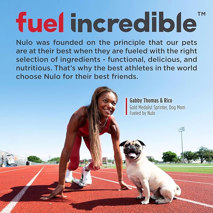 Nulo Frontrunner Ancient Grains High-Protein Dog Food, Beef, Barley, & Lamb Recipe- Natural Dry Dog Food with Probiotics, Grain-Inclusive Kibble for Adult Dogs, 5 lb Bag