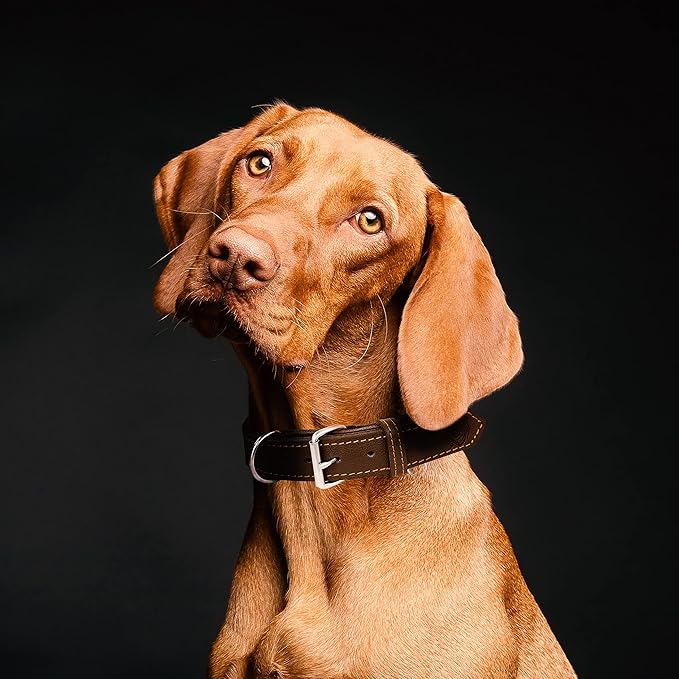 Riparo Dog Collar - Genuine Leather Dog Collars - Heavy Duty Dog Collars for Medium Large and Extra Large Dog Breeds (L: 1.25” Wide for 18” - 22” Neck, Brown)