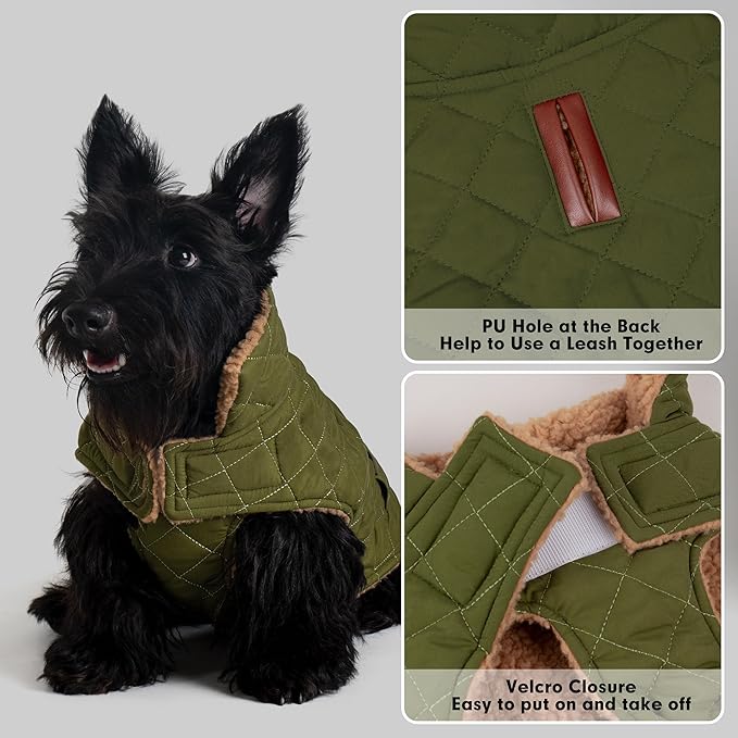 azuza Dog Jacket Waterproof & Windproof Dog Coat for Small Dogs with Thick Fleece, High Collar with Leash Hole, Adjustable Velcro & Elastic Belly, Army Green XL