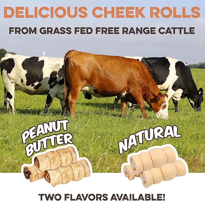 Premium Beef Cheek Rolls for Dogs 5-7" - (10-Pack) Long Lasting, Safe & Natural Rawhide Alternative Chews, Ideal for Large Dogs & Aggressive Chewers, Supports Dental Health & Digestion