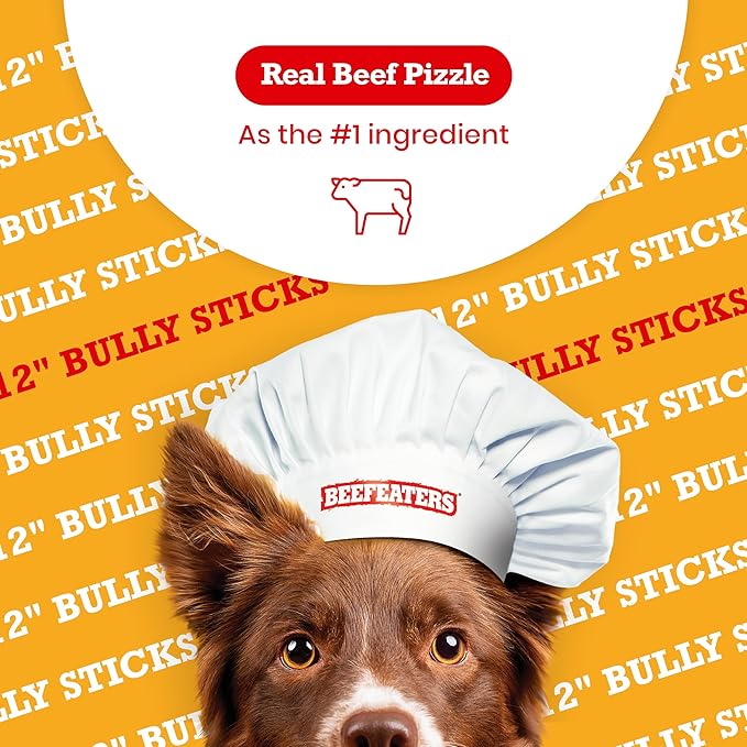 Beefeaters 12in Bully Sticks 6ct – All-Natural, Highly Digestible, Promotes Dental Health, No Additives or Preservatives, Ideal for Training & All Dog Sizes