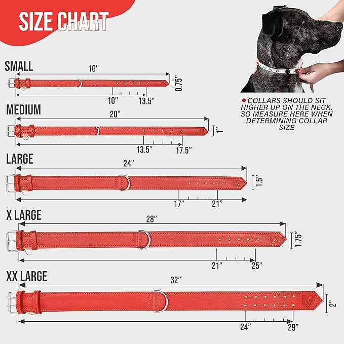 Riparo Red Dog Collar, Dog Collars for Medium Dogs, Leather Dog Collar for Medium Dogs (M: 1" Wide for 13.5”-17.5” Neck, Red)