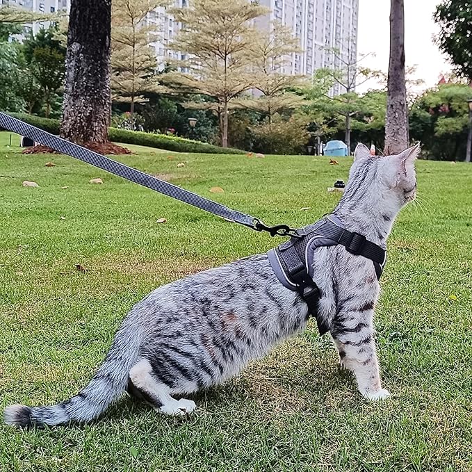 Cat Harness and Leash Set Escape Proof Tactical Small Kitten Harness Emotional Support Cat Vest, Grey, S