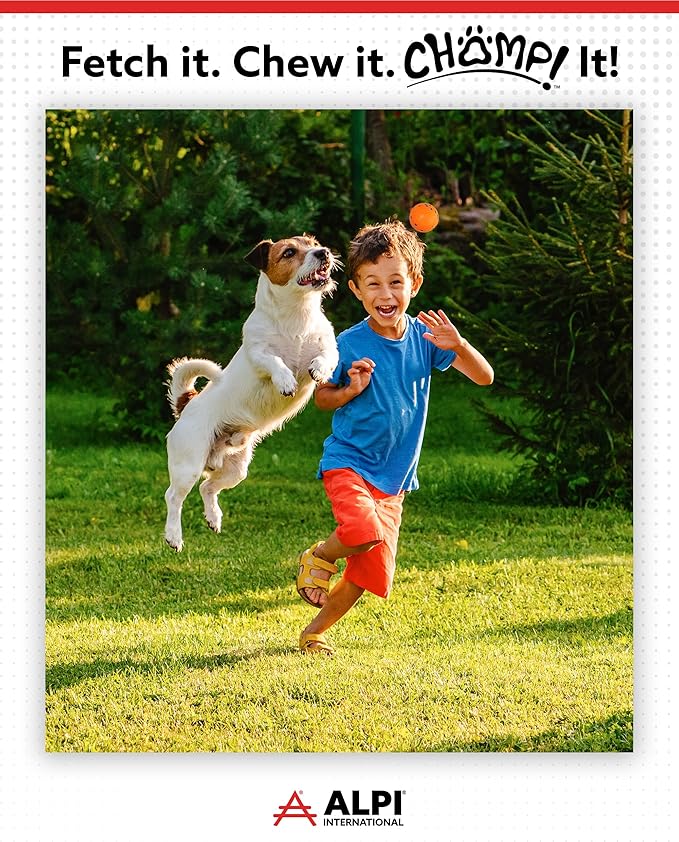 ALPI Chomp Ball - Durable Chew Toys for Dogs & Other Pets - Stimulating Dog Toys for Aggressive Chewers - Soft Dog Chews - 3-Pack, Orange