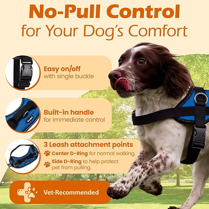 Bark Appeal Blue No-Pull Dog Harness for Extra Small Sized Pets – Adjustable, Reflective Vest with 3 Leash Clips for Added Control, Easy Walks & Training – XS