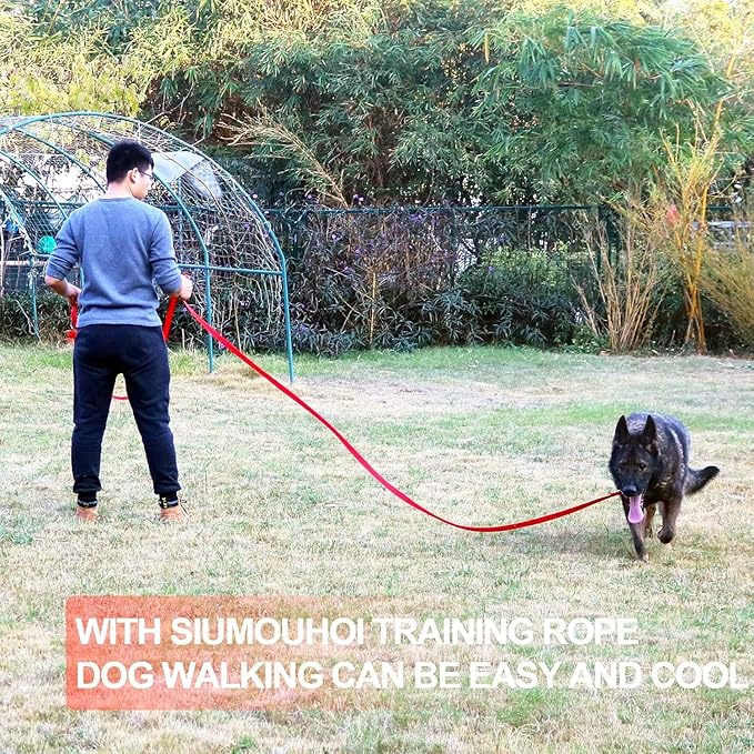 Dog/Puppy Obedience Recall Training Agility Lead - 15ft 20ft 30ft 40ft 50ft Training Leash - Great for Play, Camping, or Backyard - Pink 30ft