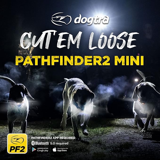 Dogtra Pathfinder2 Mini GPS Tracker e Collar + Add-on Receiver (Green) | 4 Mile, LED Light, Waterproof, Free App, No Fees, Smartwatch Control, Satellite Tracking, Multi Dogs, Smartphone Required