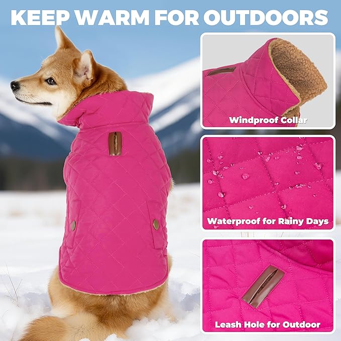 Dog Winter Coat, Dog Jacket with Warm Fleece Lined, Waterproof Windproof Dogs Cold Weather Coats Clothes for Puppy Dogs Snowsuit with Leash Hole, Rose Red Small
