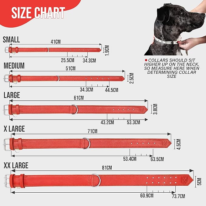 Riparo Red Leather Dog Collar - Heavy Duty Wide Dog Collar for Small, Medium, Large and Extra Large Dogs with Dog Tag Holder (XL: 1.75" Wide for 21”-25” Neck, Red)
