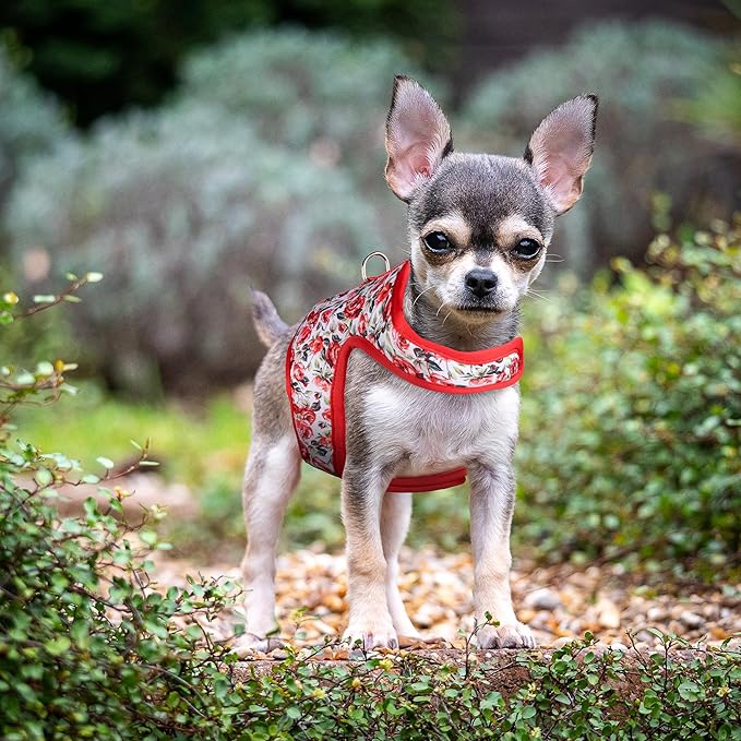 Mile High Life Dog Harness, Air Mesh Floral Vest Harness for 20 lbs Small Dogs & Cats, Easy Get on Adjustable Easy Closures Both Neck and Chest(Red Rose, S Chest 16"-18")
