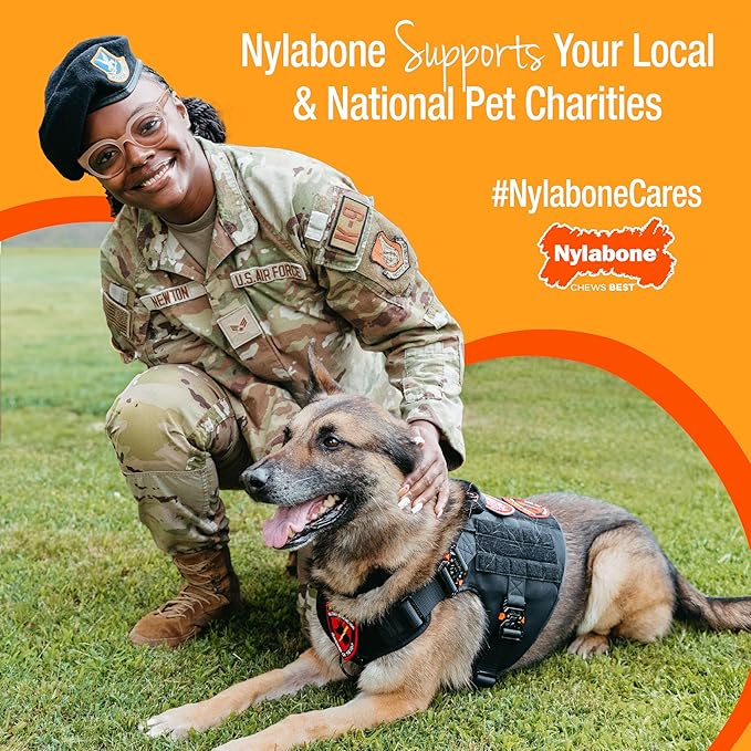 Nylabone Cheese Bone Power Chew Toy for Dogs, Cute Dog Toys for Aggressive Chewers, Cheese Flavor, X-Large Dogs - 50+ lbs, 1 Count