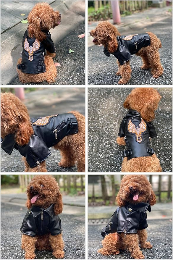 Lovelonglong Cool Dog Leather Jacket, Warm Coats Dogs Windproof Cold Weather Coats for Large Medium Small Dogs with Eagle Embroidery Black S