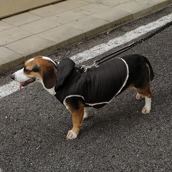 Fleece Lining Dog Hoodie with Harness Built in,Extra Warm Small Dog Jacket in Winter Puppy Coats with Drawstring Hooded,Black S