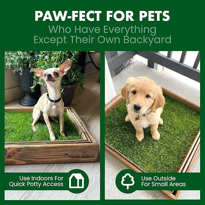 Fresh Patch Real Grass Patch for Dogs, Cats, and Extra Large Pets 30 Pounds and Above – Disposable Pet Grass Pee Pads with Tray – Indoor and Outdoor Potty Training Mat (24 Inches x 48 Inches)