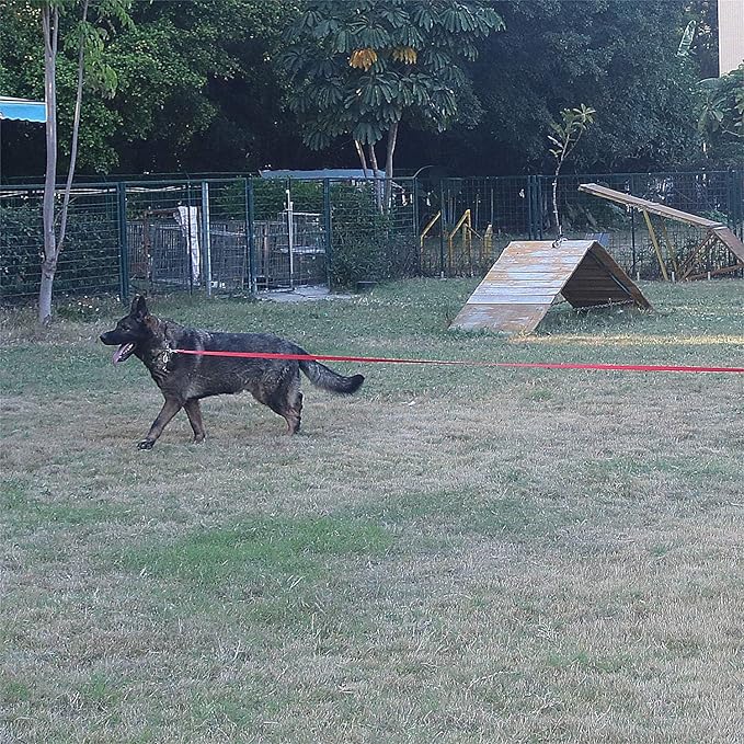 Dog/Puppy Obedience Recall Training Agility Lead - 15ft 20ft 30ft 40ft 50ft Training Leash - Great for Play, Camping, or Backyard - Pink 30ft