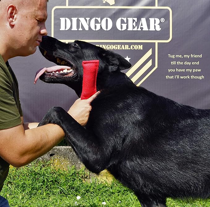 Dingo Gear French Linen tug Toy for Dog, Dog Bumper for Training, Agility, tug of war, Dog bite Pillow for Strong Dog, 1handle 6" Black S00072
