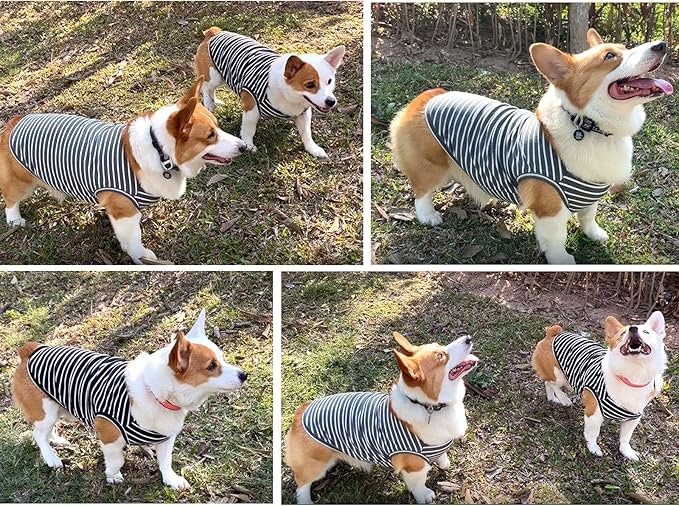 Koneseve Dog Shirt Vest Lightweight Stretchy Dog T-Shirts Soft Cool Shirts Sleeveless Stripe Vests Breathable Clothes for Puppy Kitty Cats Small Medium Large Dogs 2 Pack Black + Grey [ M/Medium ]