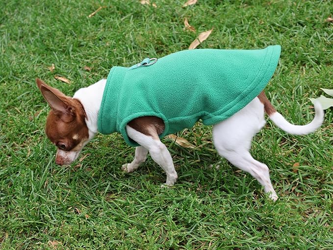 JACKO & CO - Fleece Vest Dog Sweater with Leash Ring - Soft, Warm & Lightweight Pullover Coat for Small & Medium Dogs, Puppies & Cats - Cozy Fall/Winter/Spring Pet Jacket (Green, Small 4-6lbs)