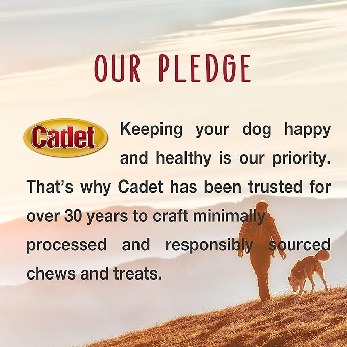 Cadet Premium Grade Pressed Beef Hide Bones, Long Lasting Rawhide Dog Chews, 8 Inch (6 Count)