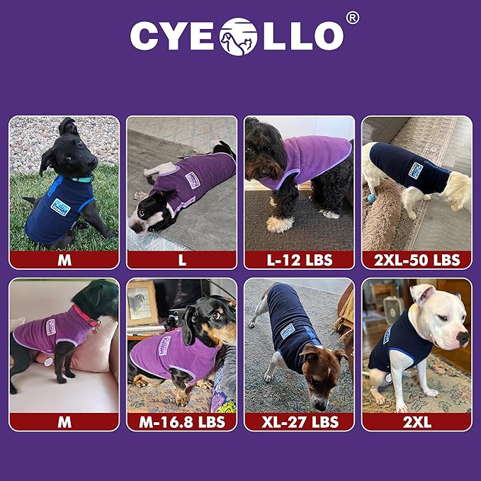 cyeollo Fleece Dog Sweater, Turtleneck Dog Sweatshirt Stretchy Pullover Fleece Vest Warm Winter Fall Clothes for Small Dogs Boy Pet Apparel, Green M