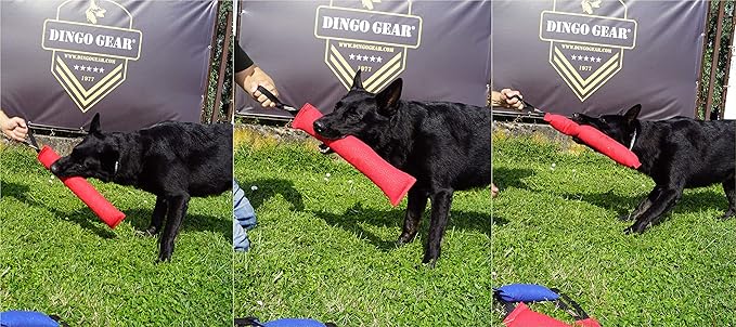 Dingo Gear French Linen tug Toy for Dog, Dog Bumper for Training, Agility, tug of war, Dog bite Pillow for Strong Dog, 1handle 18" Orange S00084
