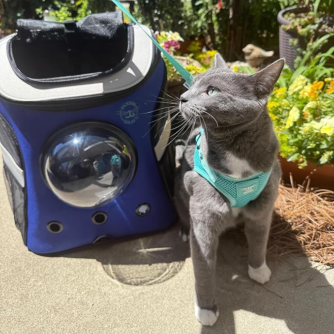 Travel Cat x Jackson Galaxy Harness and Leash Set - Adjustable Fit Mesh Cat Harness with Nylon Leash - Comfort, Escape Proof Harness for Cats, Kitten for Outdoor Walking, Hiking (Kittens Only)