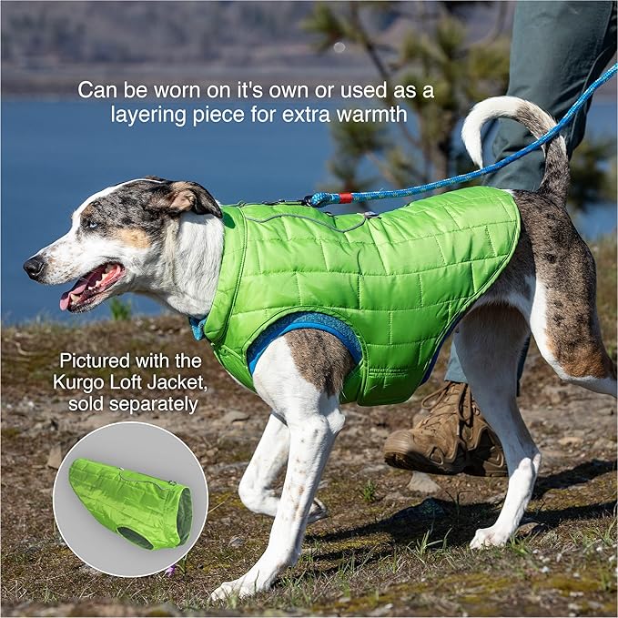 Kurgo Core Dog Sweater, Knit Dog Sweater with Fleece Lining, Cold Weather Pet Jacket, Zipper Opening for Harness, Adjustable Neck, Year-Round Sweater for Large Dogs (Heather Black, X-Large)