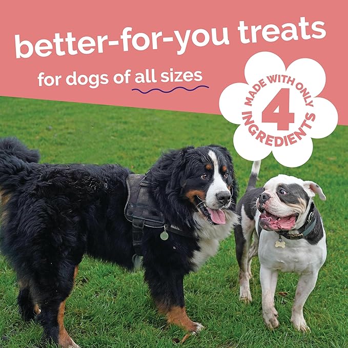 Fruitables Whole Jerky Bites, Healthy Dog Treats, Puppy Essentials, Jerky Dog Treats, Made in the USA, No Artificial Ingredients, Alaskan Salmon & Pear Flavor, 5oz