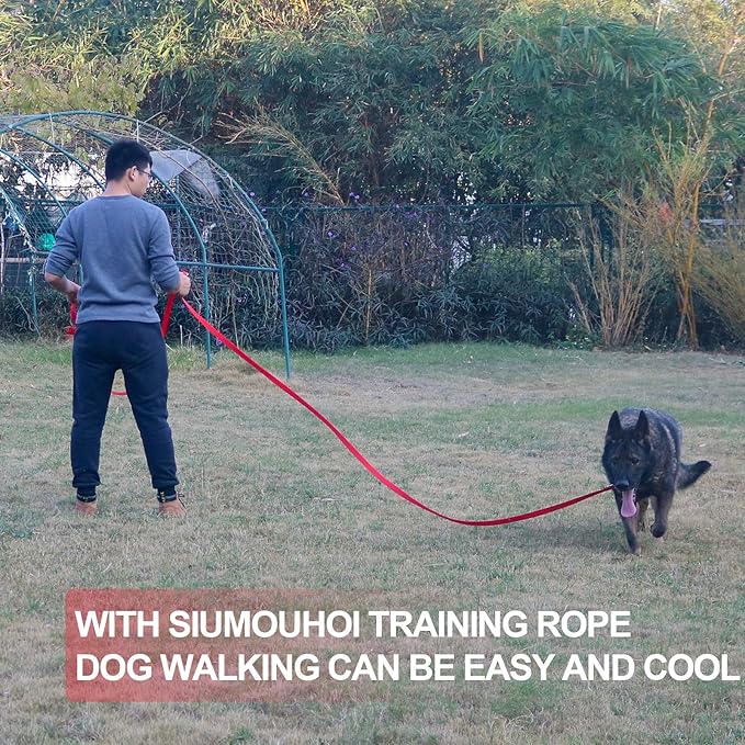 Dog/Puppy Obedience Recall Training Agility Lead - 15ft 20ft 30ft 40ft 50ft Training Leash - Great for Play, Camping, or Backyard - Orange 15ft (15Feet, Orange)