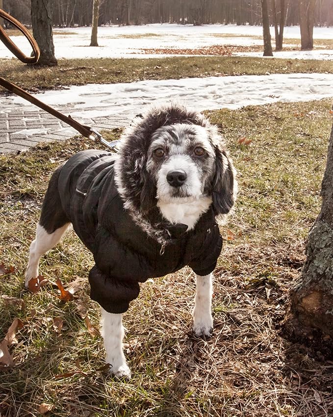 Pet Life Classic Metallic Winter Dog Coat with Zippered Removable Fur Hood - Dog Jacket Features 3M Thinsulate Insulation Warming Technology - Dog Clothes Sizing fits Small, Medium and Large Dogs,Black