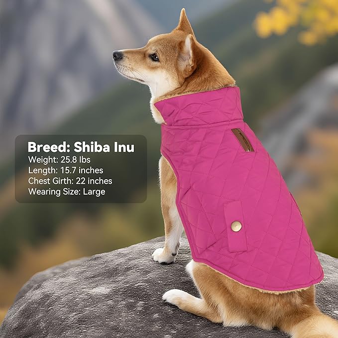 Dog Winter Coat, Dog Jacket with Warm Fleece Lined, Waterproof Windproof Dogs Cold Weather Coats Clothes for Puppy Dogs Snowsuit with Leash Hole, Rose Red Small