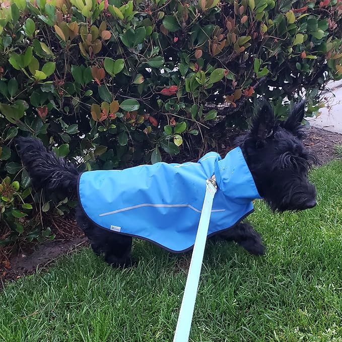 Mile High Life Dog Raincoat, Adjustable Waterproof Reflective Rain Jacket for Small Medium Large Dogs, Lightweight Breathable Pet Rain Coat with Leash Hole(Blue,XXS Chest 16-19")