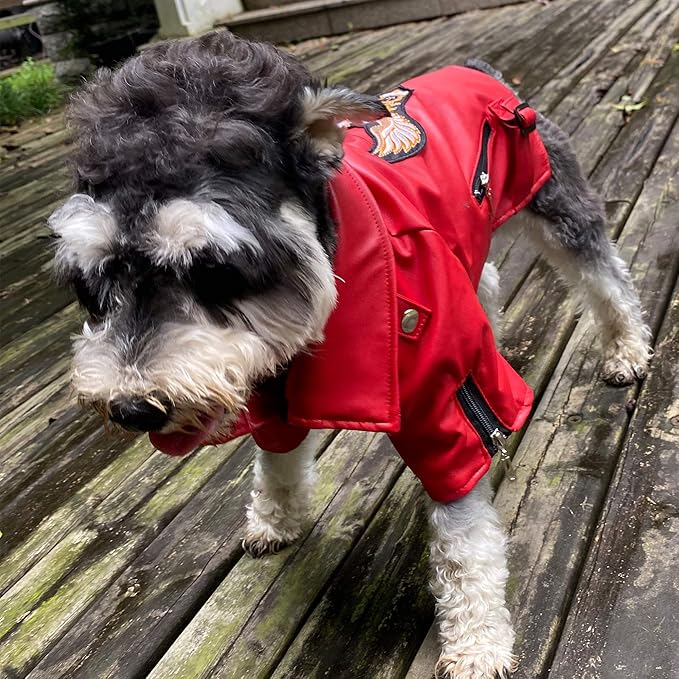 Lovelonglong Cool Dog Leather Jacket, Warm Coats Dogs Windproof Cold Weather Coats for Large Medium Small Dogs with Eagle Embroidery Red XL