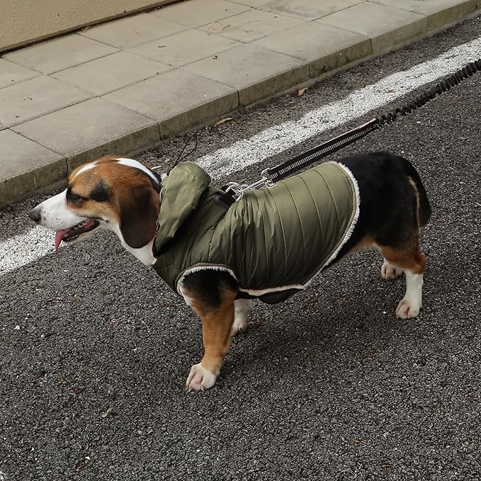 Fleece Lining Dog Hoodie with Harness Built in,Extra Warm Small Dog Jacket in Winter Puppy Coats with Drawstring Hooded,Green S