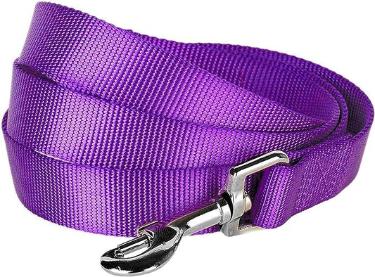 Blueberry Pet Essentials Dark Orchid Dog Leash for Large - 4' * 1" Dogs | Heavy Duty Nylon Lead | Lightweight Puppy & Cat Leash for Walking & Training