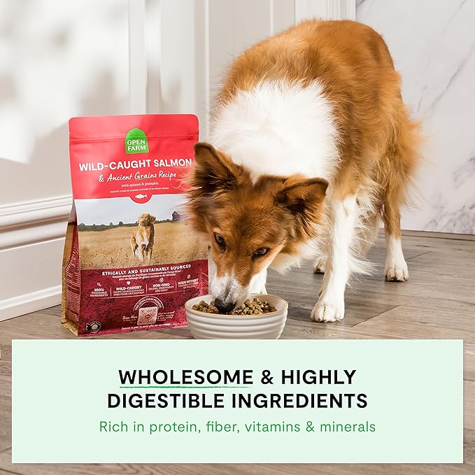 Open Farm, Ancient Grains Dry Dog Food for Puppies, Protein-Rich & Nutrient Dense, 90% Animal Protein Mixed with Non-GMO Fruits, Veggies and Superfoods, Salmon Recipe for Puppy, 22lb Bag