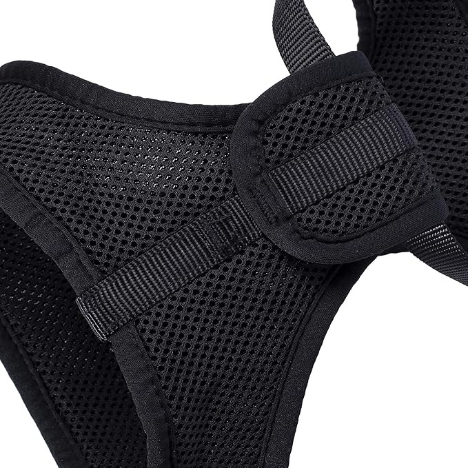 Mile High Life Step in Dog Harness for Small Dogs No Pull, Easy Get on Air Mesh Vest Harness, Adjustable Easy Closures Both Neck and Chest (Black, XS Chest 11.4"-16.1")