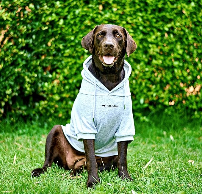 Tuff Pupper Dog Hoodie | Premium Quality 100% Organic Cotton | Ultra Soft Interior for Superior Comfort | Elastic Cuffs & Drawstring for Warmth | Stretch Fit Suitable for All Breeds (Gray, XXL)