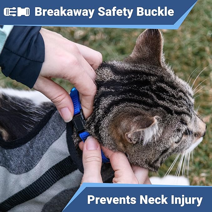 GoTags Reflective Cat Collars with Personalized Tag, Breakaway Collar with Safety Buckle Matching Bell, Engraved Custom with Name and Phone, Adjustable for Cats and Kitten, (Pink with Nameplate)