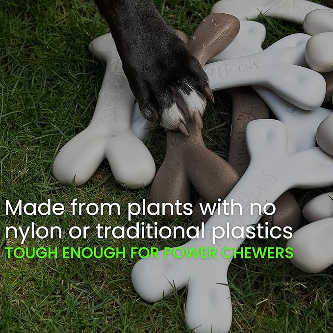 2-Pack Non-Toxic Dog Toys - Sustainable Beef Flavored Dog Chew Toys for Aggressive Chewers - Plant-Based Bioplastic Pet Toys - Made in The USA (Mighty)