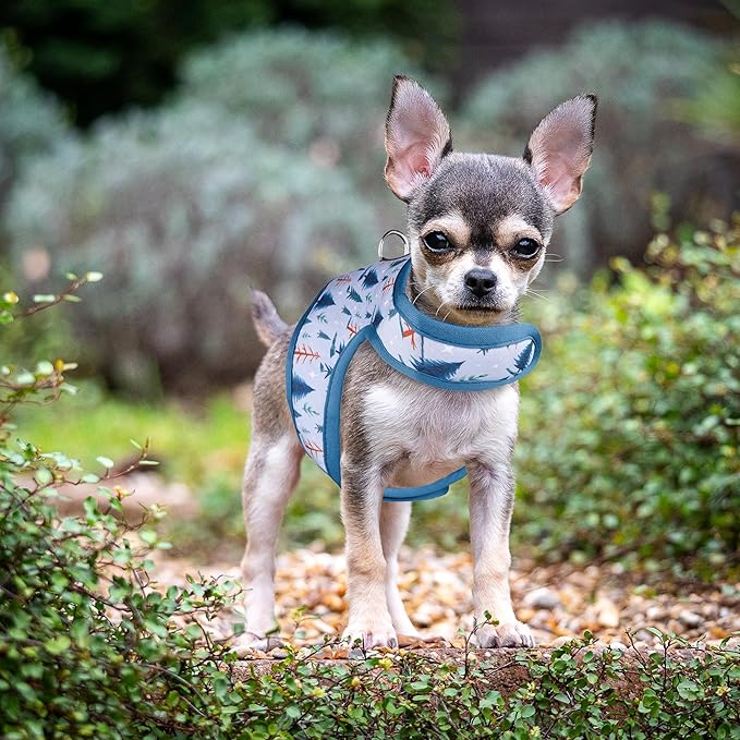 Mile High Life Dog Harness, Air Mesh Floral Vest Harness for 20 lbs Small Dogs & Cats, Easy Get on Adjustable Easy Closures Both Neck and Chest(Gray Tree, S Chest 16"-18")