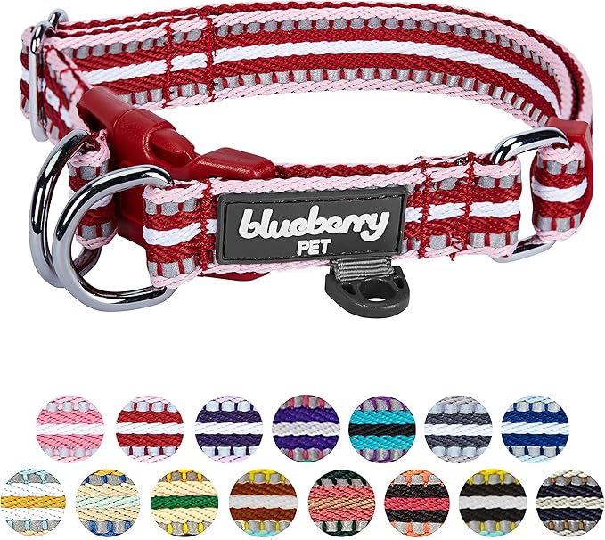 Blueberry Pet Safety Dog Collar with Dual D-Rings | 3M Reflective Multi-Colored Adjustable Collar in Marsala Red and Pink | Soft Nylon Dog Collar for Active Medium Dogs
