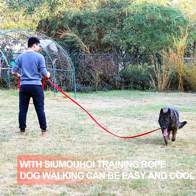 Dog/Puppy Obedience Recall Training Agility Lead - 15ft 20ft 30ft 40ft 50ft Training Leash - Great for Training, Play, Camping, or Backyard（Red，40 Feet）