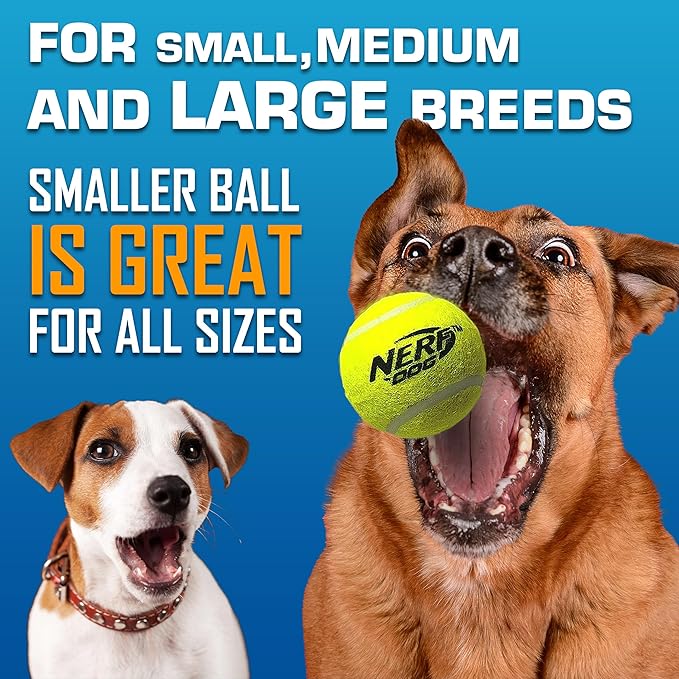Nerf Dog Tennis Ball Blaster Dog Toy Gift Set, Launches up to 75 ft, for All Breeds Includes Orange Ball Launcher and 12 Dog Tennis Balls
