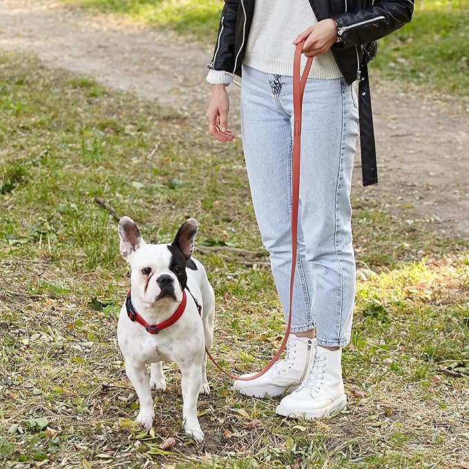 Dogline Biothane Waterproof Dog Leash Strong Coated Nylon Webbing with Black Hardware Odor-Proof Easy to Clean High Performance for Small or Large Dogs Made in USA 4 or 6 ft Lead, Coral