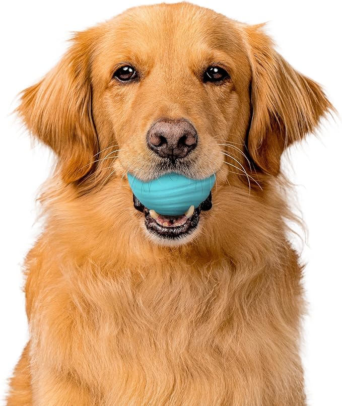 Playology Dog Toys | Dual Layer Ball Durable Chew Toy for Aggressive Chewers | Jumbo Peanut Butter Scented Toy - Easy to Clean and Made from Non Toxic Materials