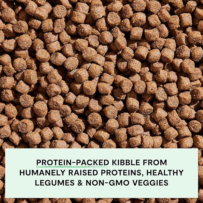 Open Farm, Grain-Free Dry Dog Food for Puppies, Protein-Packed Kibble, Sustainably & Ethically Sourced Ingredients, Non-GMO Veggies & Superfoods, Salmon & Sweet Potato Puppy Recipe, 4lb Bag