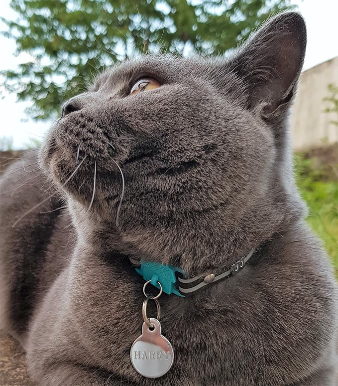 Kittyrama Havana Cat Collar with Bell. Cat Friendly Award Winner. Approved by Vets and Cat Experts. Breakaway Cat Collars Quick Release. Kitten Collar. Won't Rub Fur. Lightweight, Soft & Comfy